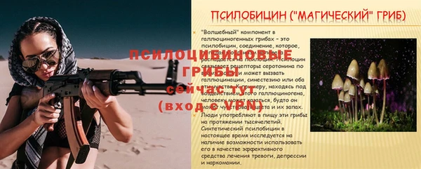 ECSTASY Армянск