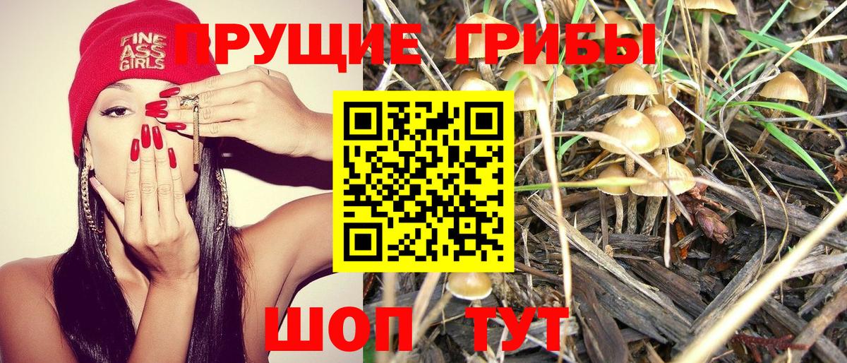 Псилоцибиновые грибы GOLDEN TEACHER Саянск
