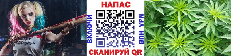 Марихуана гибрид Саянск
